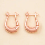 Adiyogi Copper Earring