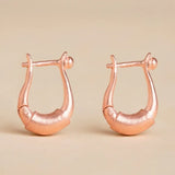 Adiyogi Copper Earring