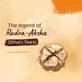 Panchamukhi Rudraksha - 6mm