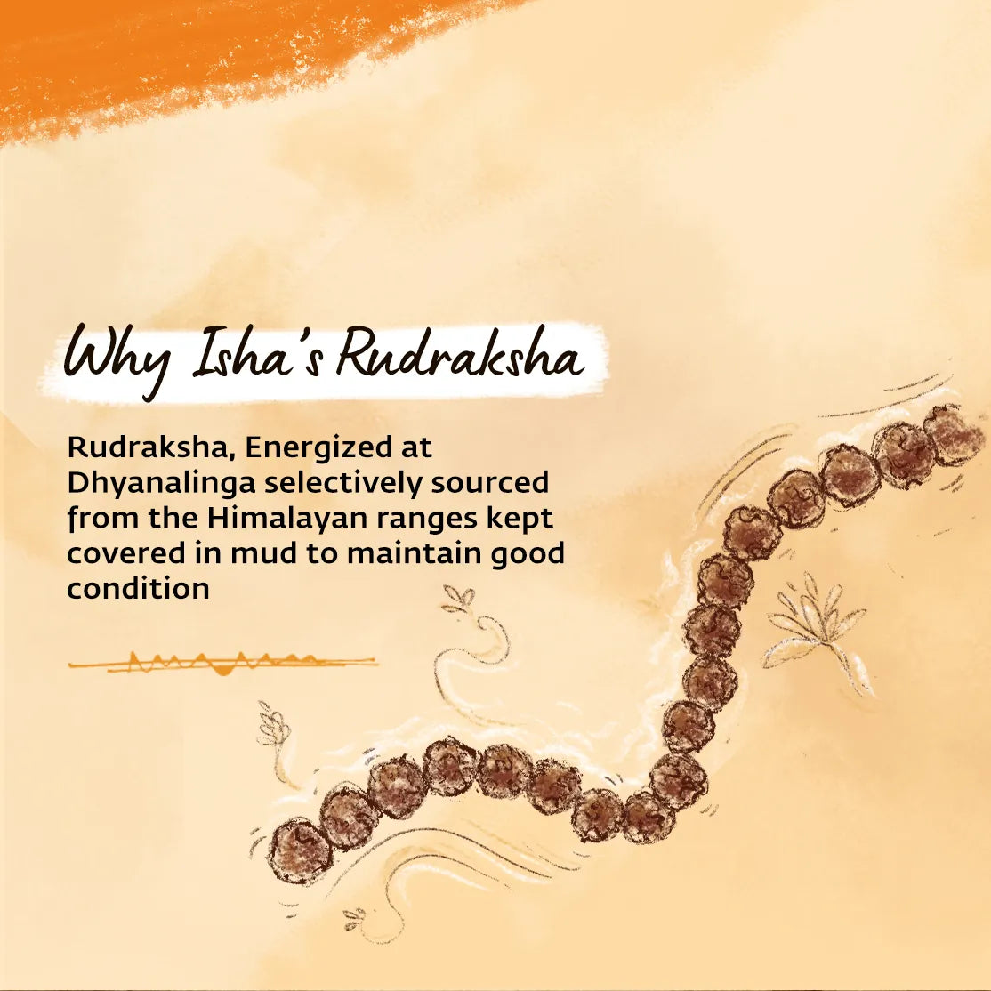 Rudraksha Panchamukhi - 7mm