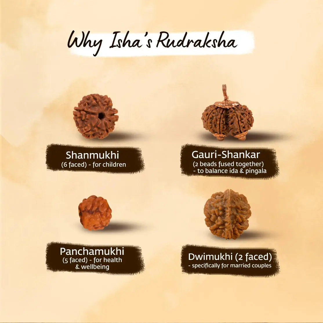 Rudraksha Panchamukhi - 7mm