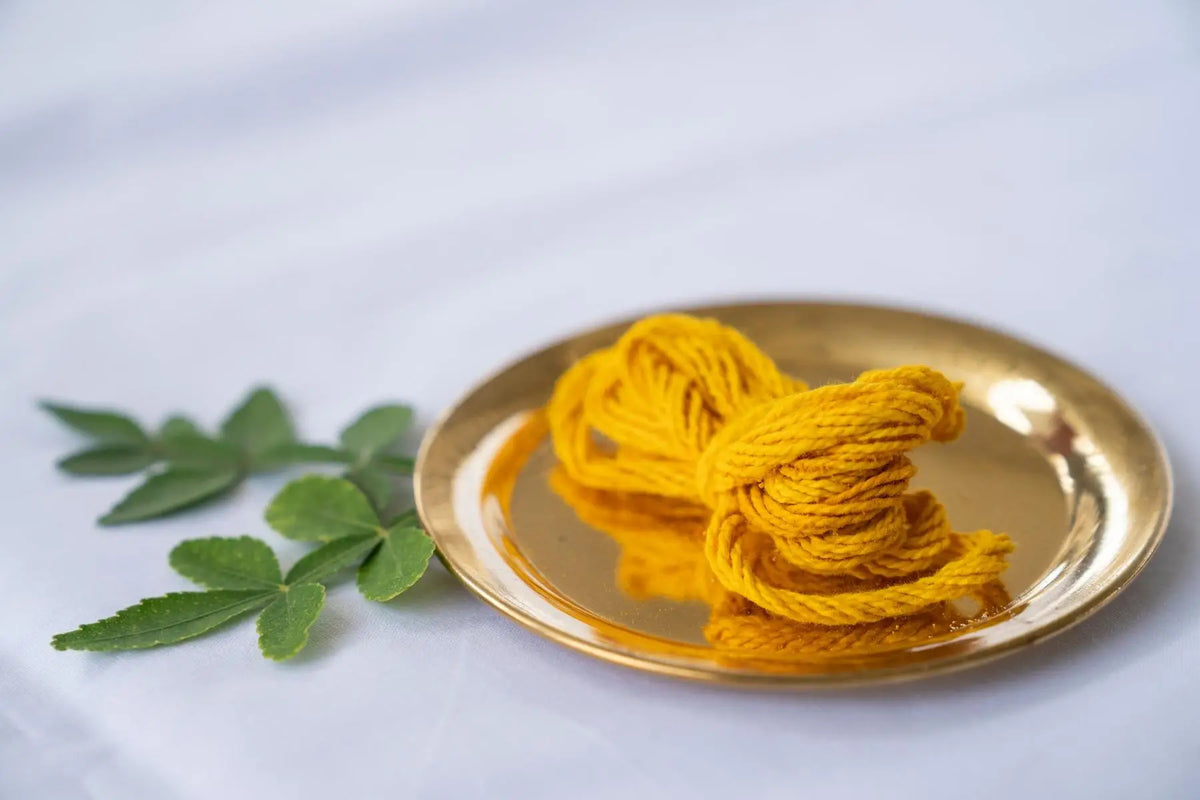 Bond of Grace Sutra