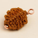 Dwimukhi Rudraksha 2 faced Beads