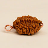 Dwimukhi Rudraksha 2 faced Beads