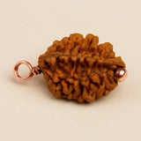 Dwimukhi Rudraksha 2 faced Beads