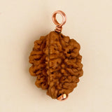 Dwimukhi Rudraksha 2 faced Beads