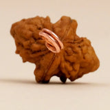 Dwimukhi Rudraksha 2 faced Beads