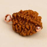 Dwimukhi Rudraksha 2 faced Beads