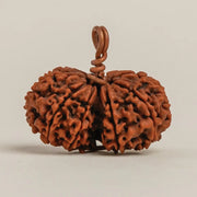 Energized Isha Gauri-Shankar Rudraksha