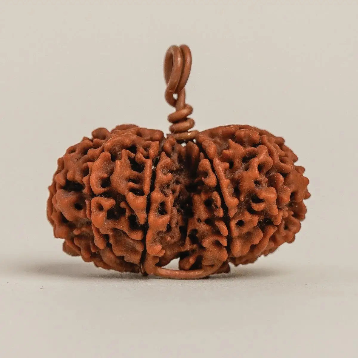 Energized Isha Gauri-Shankar Rudraksha