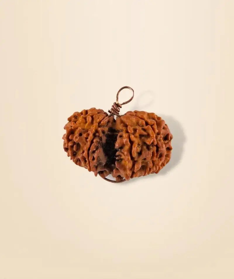 Energized Isha Gauri-Shankar Rudraksha