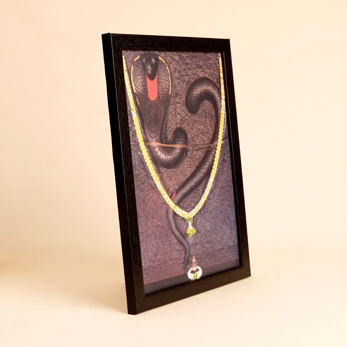 Framed Naga Photo 9 x 12