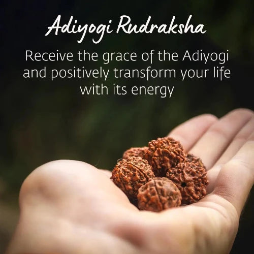 Adiyogi Rudraksha with Copper Chain
