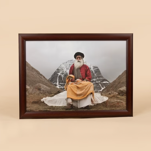 Sadhguru Photo - (12"x8")