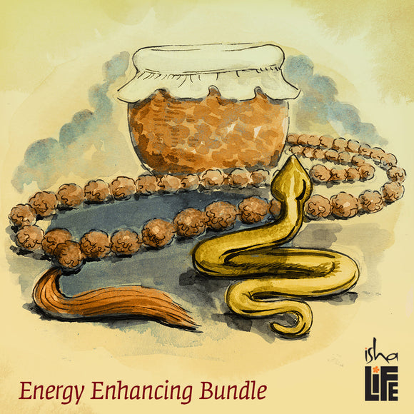 Energy Enhancing Bundle