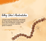 Rudraksha Panchamukhi Mala Bead size-5mm